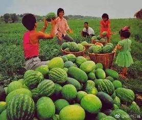 小孩娱乐吃瓜,小宝贝们的快乐“吃瓜”时光