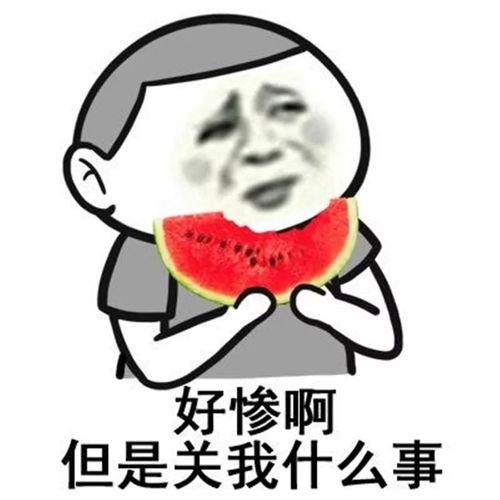 娱乐吃瓜酱想吃就吃,尽享美食盛宴——跟随娱乐吃瓜酱解锁美味人生