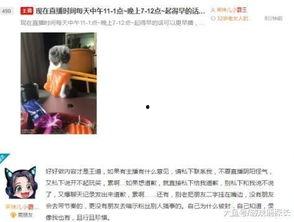 吃瓜娱乐主播消息在哪看,吃瓜娱乐主播最新消息观看指南