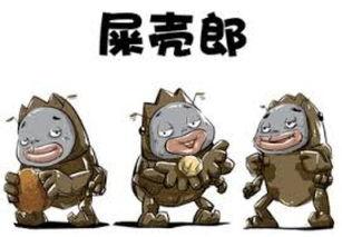 娱乐吃瓜酱屎壳郎,吃瓜酱屎壳郎的趣味人生